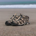 Cove Sport Taupe - Sand