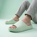 PEAK CLAQUETTES SLIPPERS_Bean green