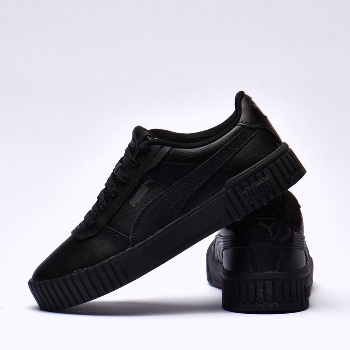 Puma carina 2.0