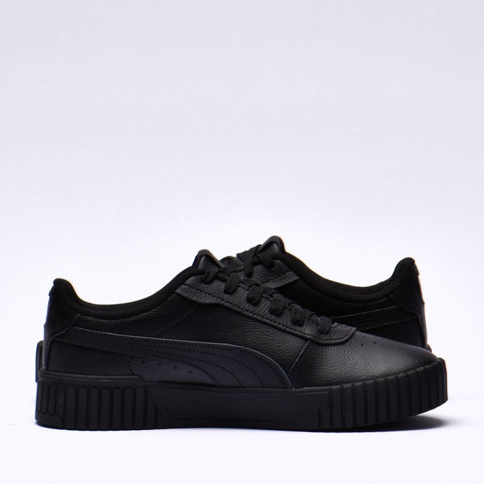 Puma carina 2.0