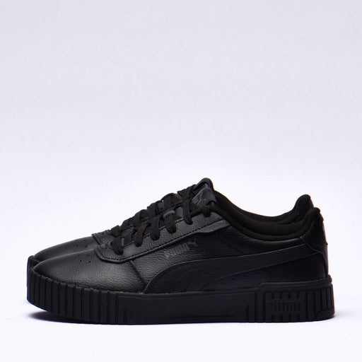 Puma carina 2.0