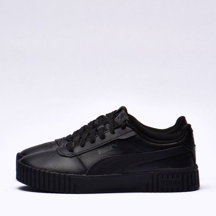 Puma carina 2.0