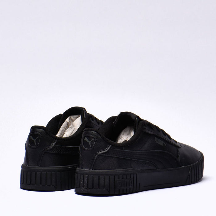Puma carina 2.0