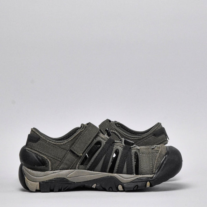 Shaol Bay Sea Turtle - Taupe